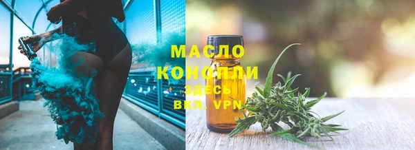 индика Беломорск