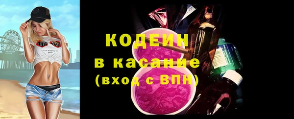 индика Беломорск