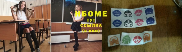 индика Беломорск