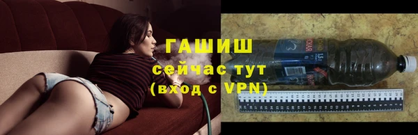 индика Беломорск