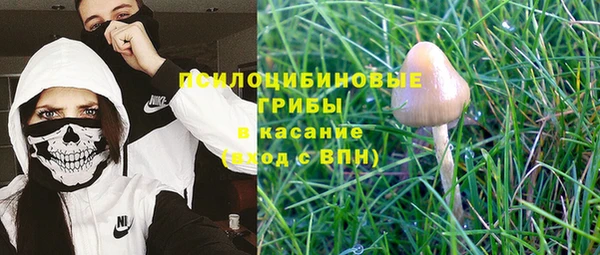 индика Беломорск