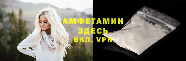 индика Беломорск