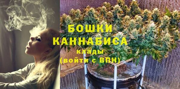 индика Беломорск