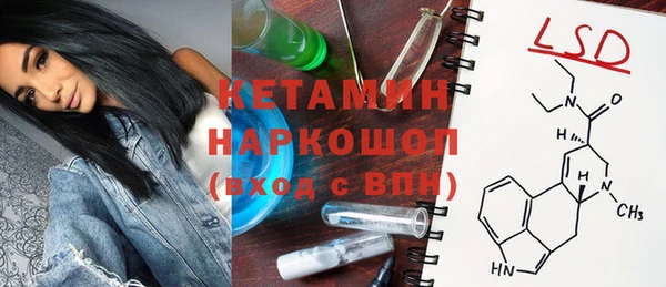 индика Беломорск