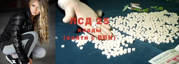 индика Беломорск