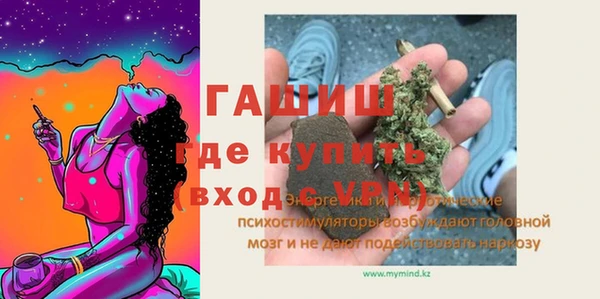 индика Беломорск