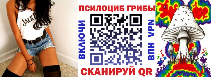 Псилоцибиновые грибы GOLDEN TEACHER  где найти наркотики  Болотное 